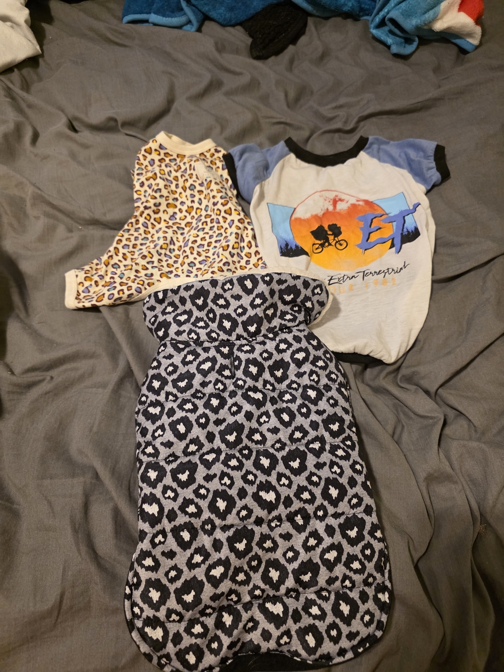 Dog Clothing